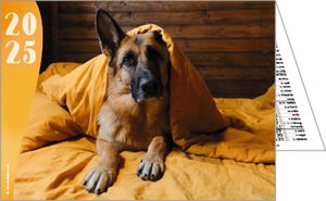 Calendriers publicitaires poches animaux, Nos amis 2