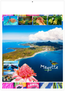 Calendrier entreprise marianne couleurs 2025 3