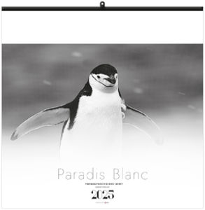 Calendrier entreprise paradis blanc 2025 3