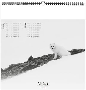 Calendrier entreprise paradis blanc 2025 5