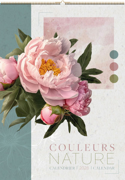 Calendrier Illustré Publicitaire - Survol