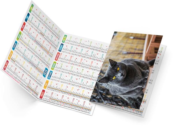 Calendrier poche félix 2025