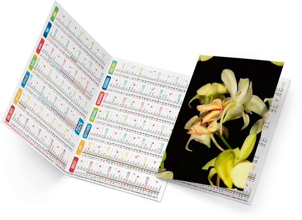 Calendrier poche tristan 2025