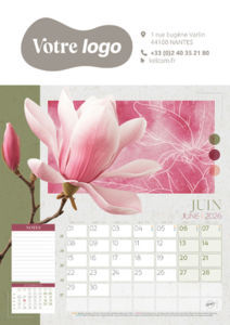 Calendrier Illustré Publicitaire - Survol 10