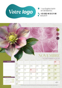 Calendrier Illustré Publicitaire - Survol 3