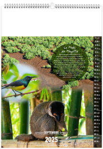 Calendrier personnalisable mayotte 2025 10