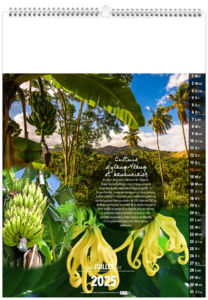 Calendrier personnalisable mayotte 2025 8