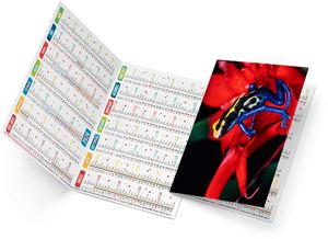 Calendrier poche ella 2025 3