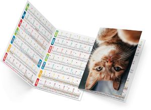 Calendrier poche félix 2025 3