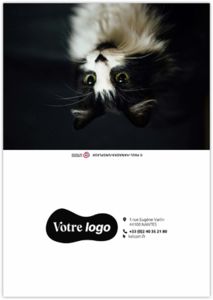 Calendrier poche félix 2025 5