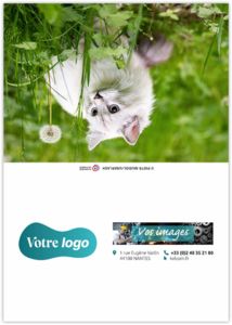 Calendrier poche félix 2025 6