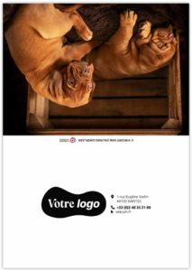 Calendrier poche fidèle 2025 7