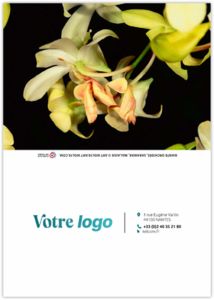 Calendrier poche tristan 2025 4