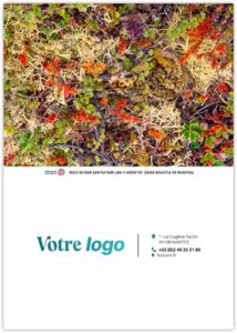 Calendrier poche tristan 2025 6