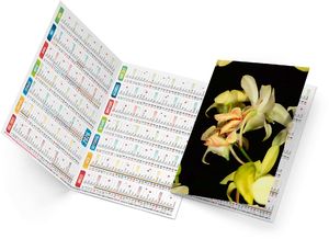 Calendrier poche tristan 2025