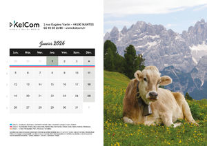 Calendrier publicitaire chevalet Animaux Paysage 1