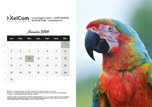 Calendrier publicitaire chevalet Animaux Paysage 11