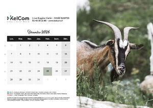 Calendrier publicitaire chevalet Animaux Paysage 12