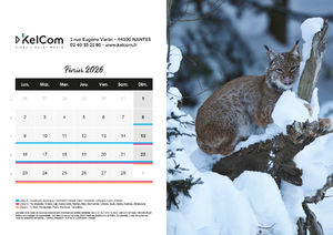 Calendrier publicitaire chevalet Animaux Paysage 2
