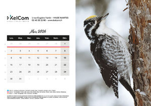 Calendrier publicitaire chevalet Animaux Paysage 3