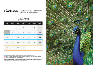 Calendrier publicitaire chevalet Animaux Paysage 4