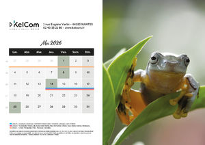 Calendrier publicitaire chevalet Animaux Paysage 5