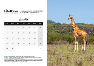 Calendrier publicitaire chevalet Animaux Paysage 6