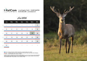 Calendrier publicitaire chevalet Animaux Paysage 8