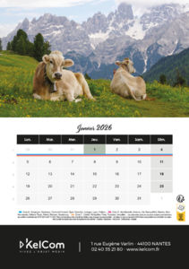 Calendrier publicitaire chevalet Animaux Portrait 1