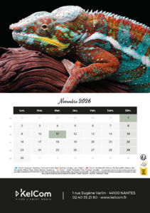 Calendrier publicitaire chevalet Animaux Portrait 11