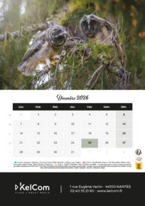 Calendrier publicitaire chevalet Animaux Portrait 12