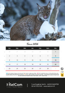 Calendrier publicitaire chevalet Animaux Portrait 2