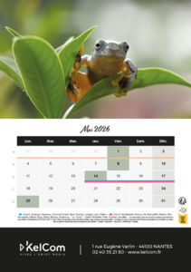 Calendrier publicitaire chevalet Animaux Portrait 5