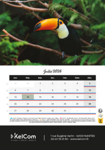 Calendrier publicitaire chevalet Animaux Portrait 7
