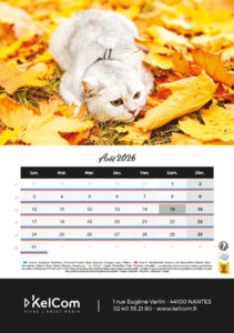 Calendrier publicitaire chevalet Animaux Portrait 8