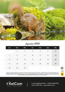 Calendrier publicitaire chevalet Animaux Portrait 9