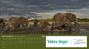 Calendrier publicitaire feuillets grand angle, Grand-angle 1