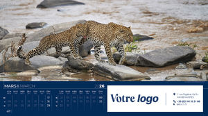 Calendrier publicitaire feuillets grand angle, Grand-angle 7