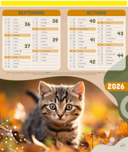 Calendriers publicitaires chats, Chiens et Chats 4