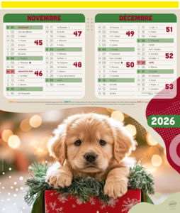 Calendriers publicitaires chats, Chiens et Chats 5