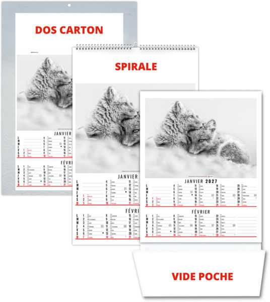 Calendrier illustré entreprise Anna 2027