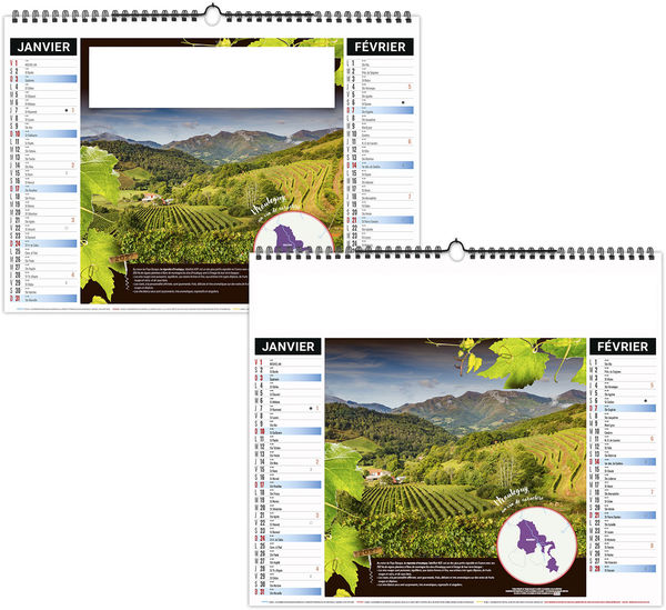 Calendrier illustré entreprise Grappe 2027