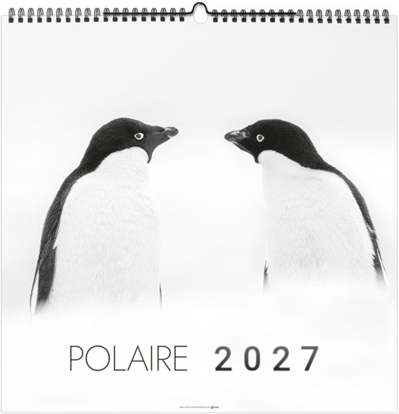 Calendrier illustré entreprise Polaire 2027