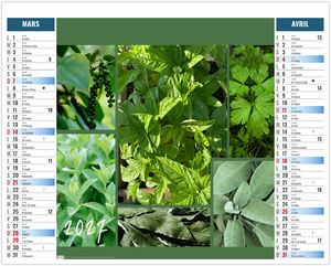 Calendrier 2 en 1 entreprise Bouquet 2027 2