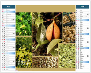 Calendrier 2 en 1 entreprise Bouquet 2027 3