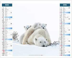 Calendrier 2 en 1 publicitaire Pôle 2027 2
