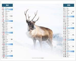 Calendrier 2 en 1 publicitaire Pôle 2027 3