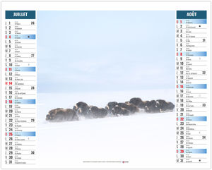 Calendrier 2 en 1 publicitaire Pôle 2027 4