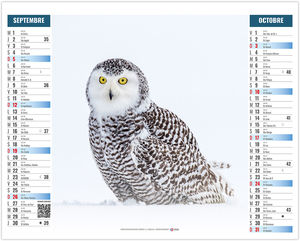 Calendrier 2 en 1 publicitaire Pôle 2027 5