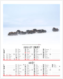 Calendrier illustré entreprise Anna 2027 4